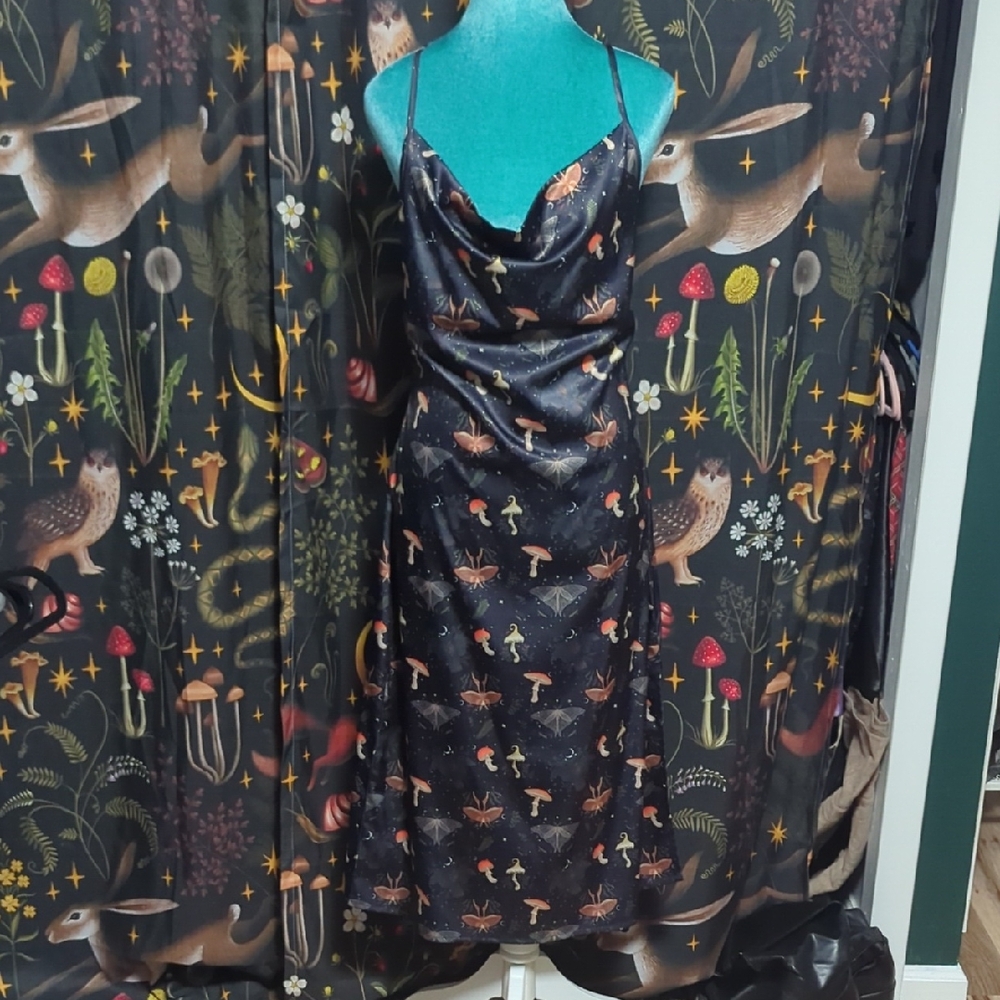 Disturbia Medeina Cowl Slip Midi Dress